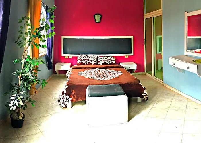 Bed & Breakfast Vip Privat